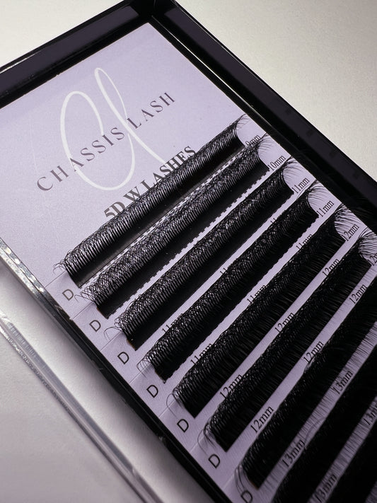 5D W Shaped Clover Lash Extensions-CHASSIS LASH